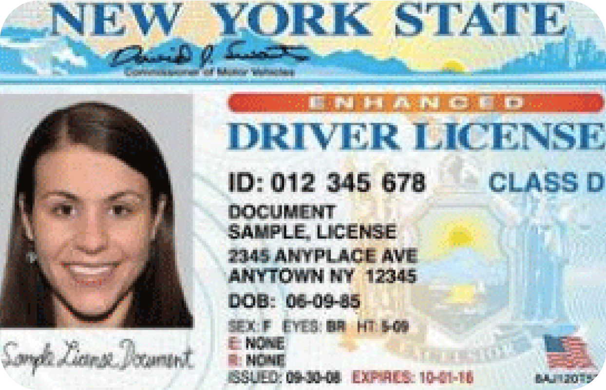 Driver Licence