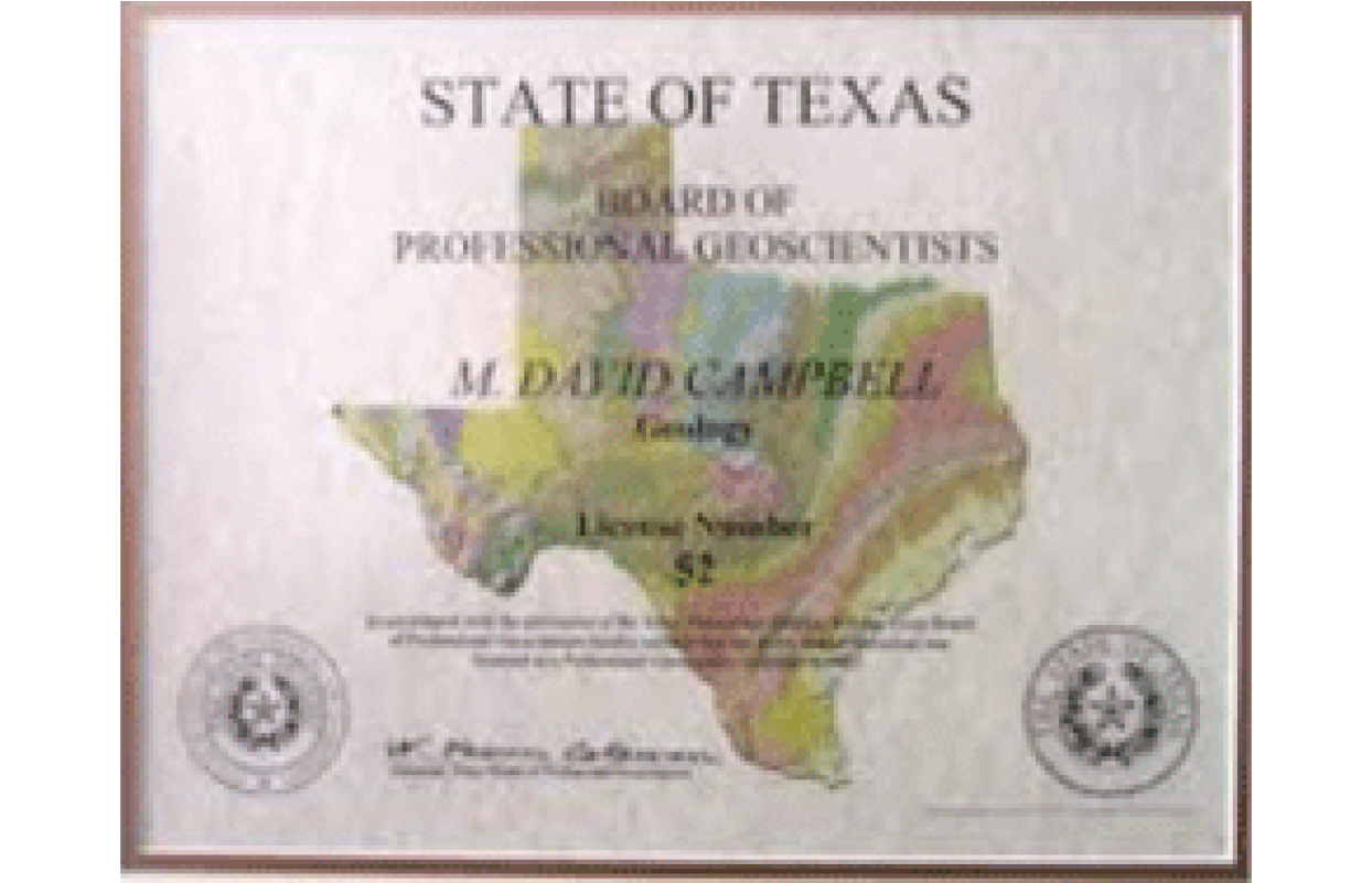 Professional License